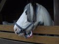 IMGP3673.JPG